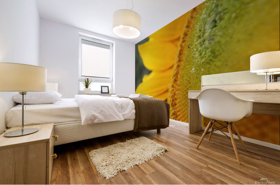 Hello Sunshine Mural print