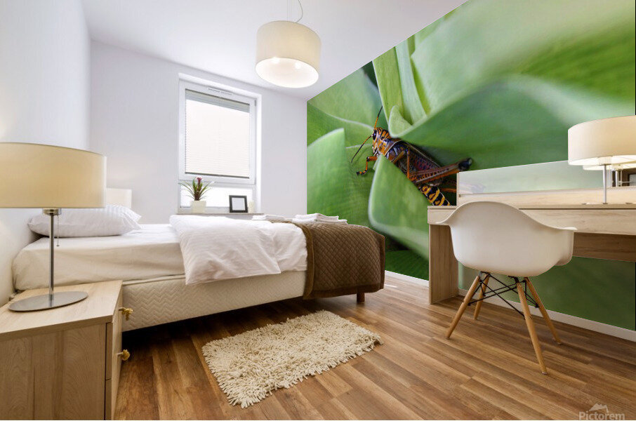Hiding Grasshopper Mural print