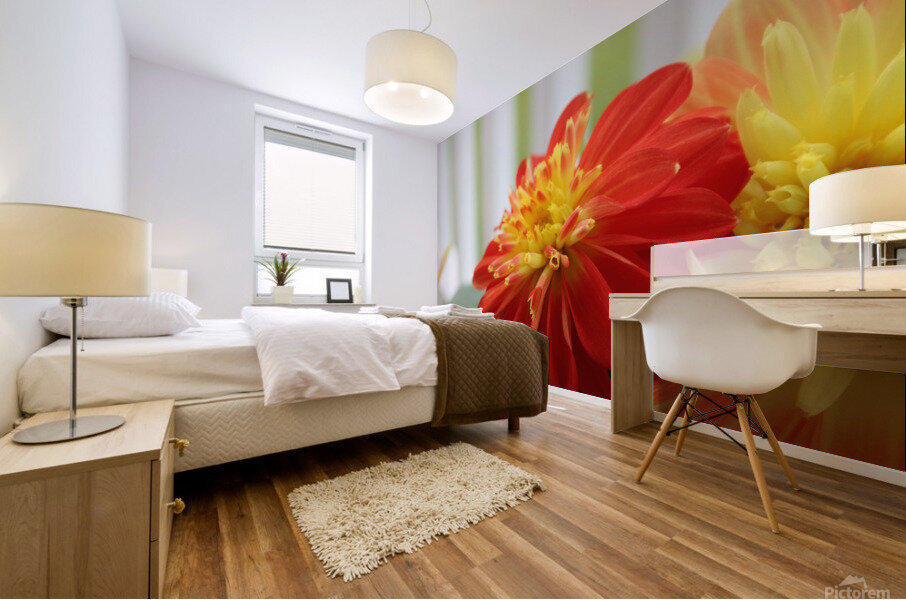 Fireball Flower II Mural print