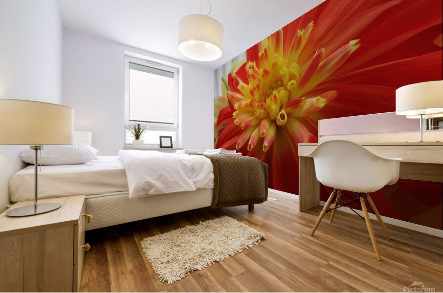 Fireball Flower Mural print