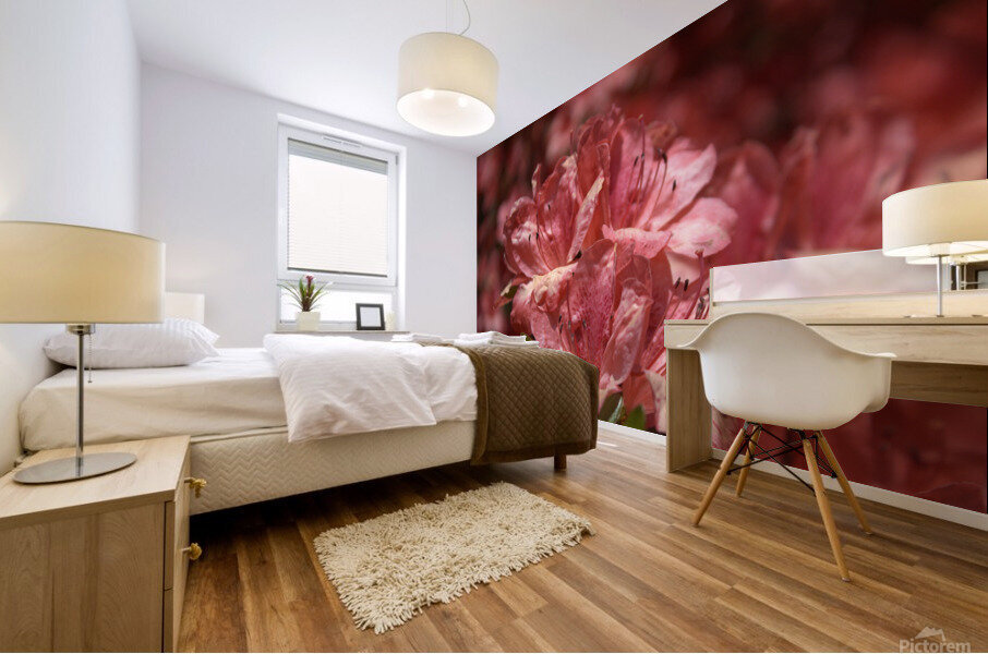 Azaleas I Mural print