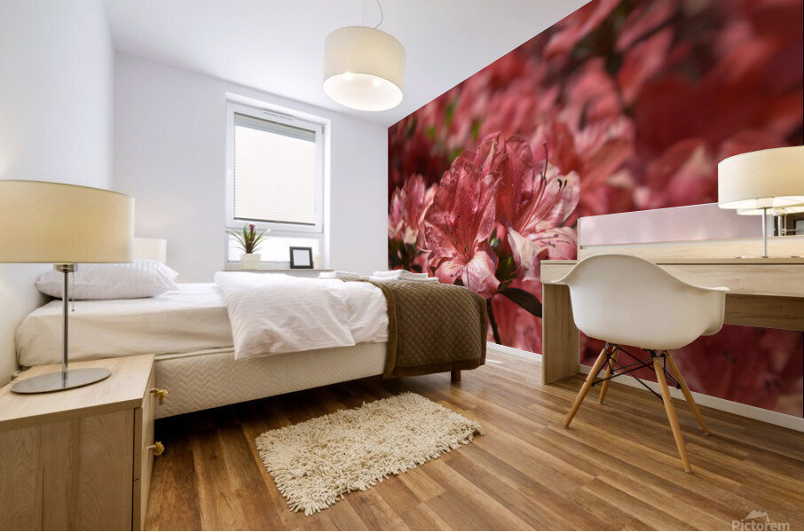 Azaleas II Mural print
