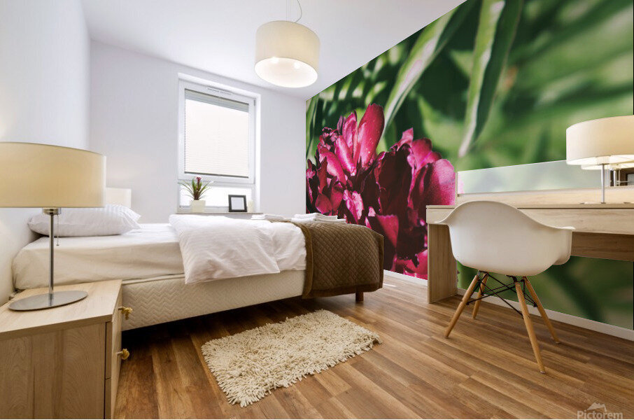 Pretty Pleasing Peonies II Mural print