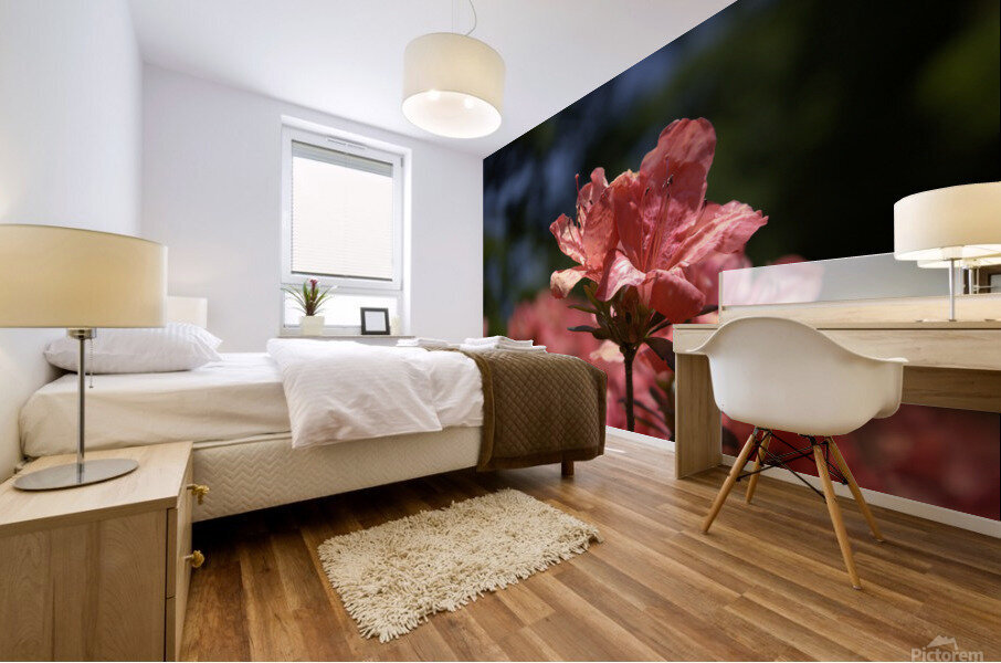 Azalea Above All Mural print