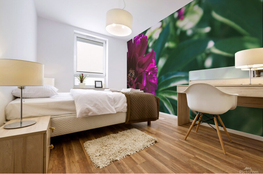 Pretty Pleasing Peonies III Mural print