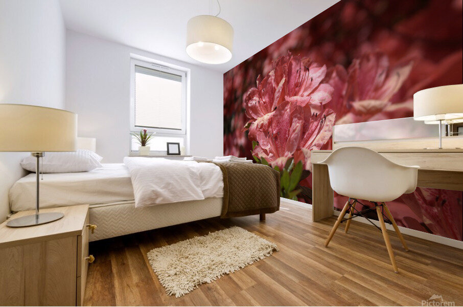 Azaleas III Mural print