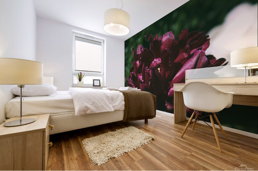 Pretty Pleasing Peonies I Mural print