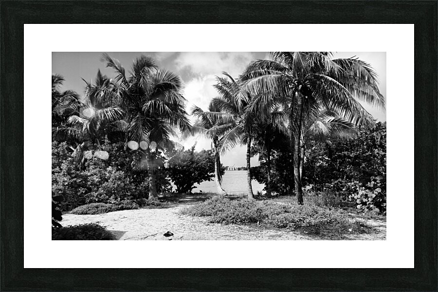 Paradise in B&W Picture Frame print