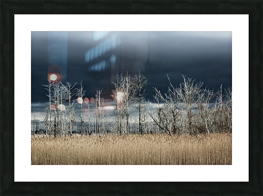 Carolina Storm Brewing Picture Frame print