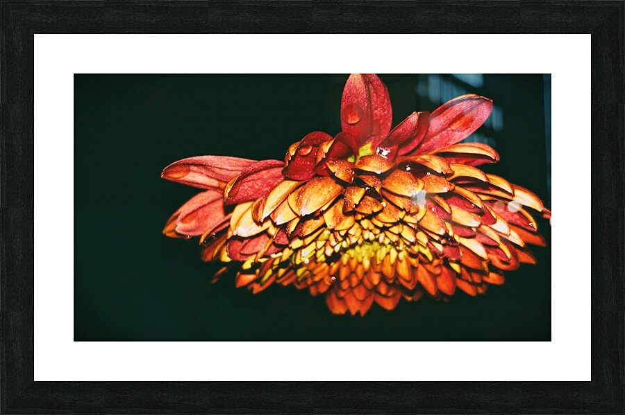 Falling For Mums Picture Frame print