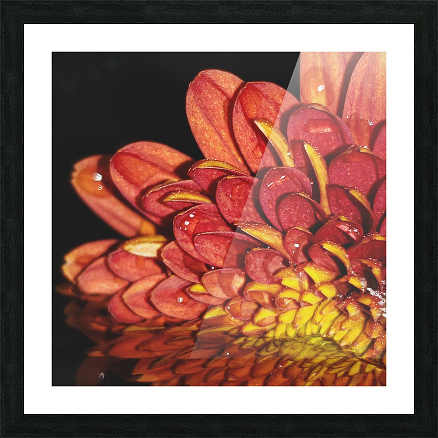 Falling For Mums II Picture Frame print