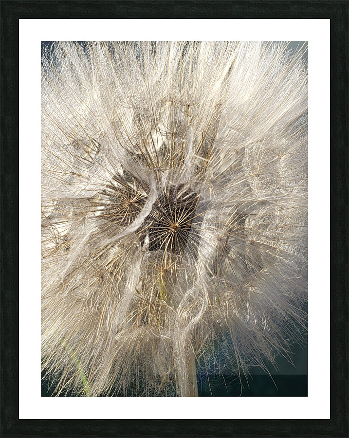 Wishful Thinking I Picture Frame print