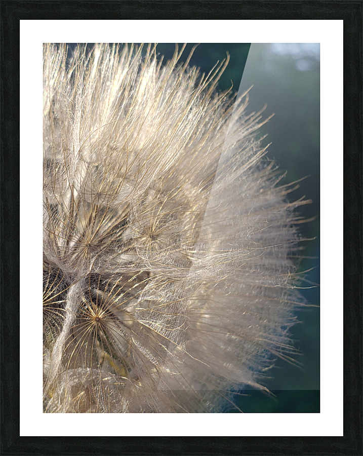 Wishful Thinking II Picture Frame print