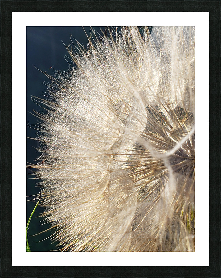 Wishful Thinking III Picture Frame print