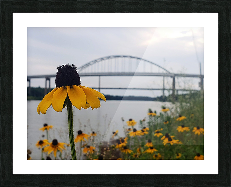 Susans By The Bridge Picture Frame print
