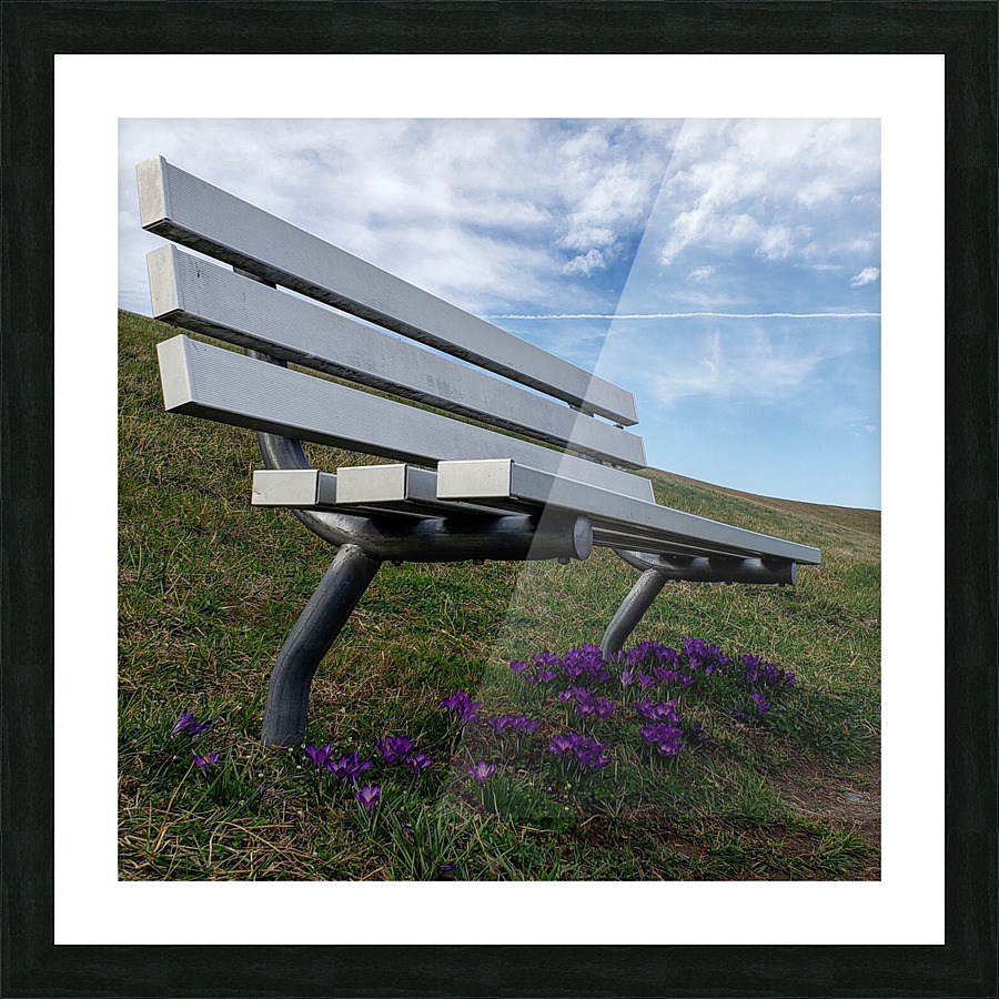 Spring Bench in Newark Picture Frame print
