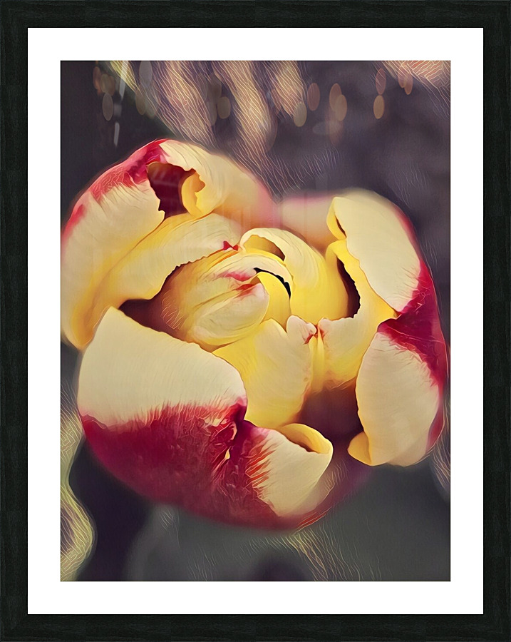 Painted Tulips Picture Frame print