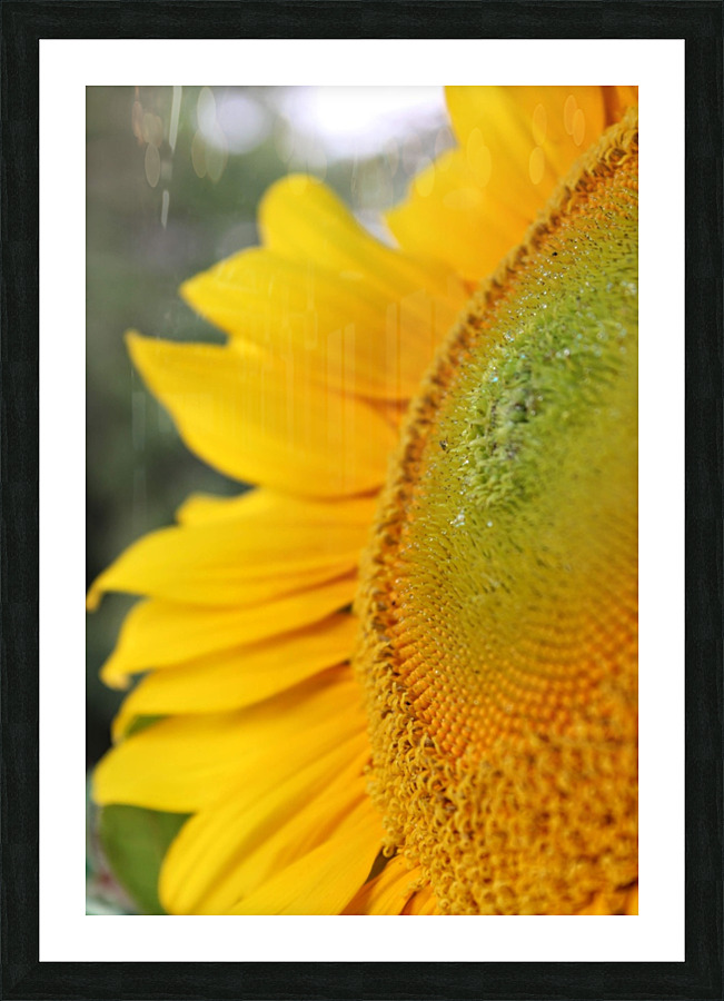 Hello Sunshine Picture Frame print