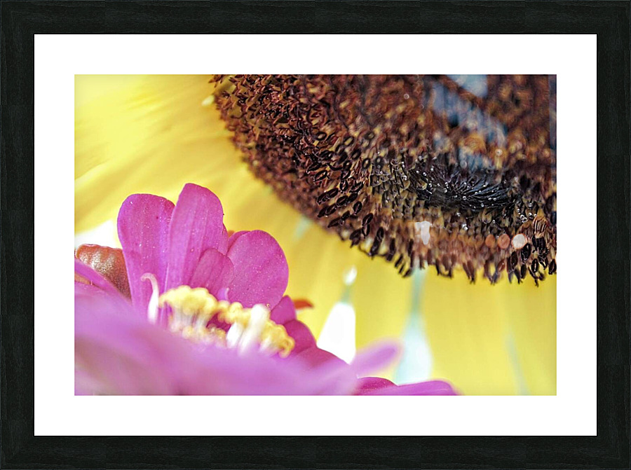 Flower Conversations Picture Frame print