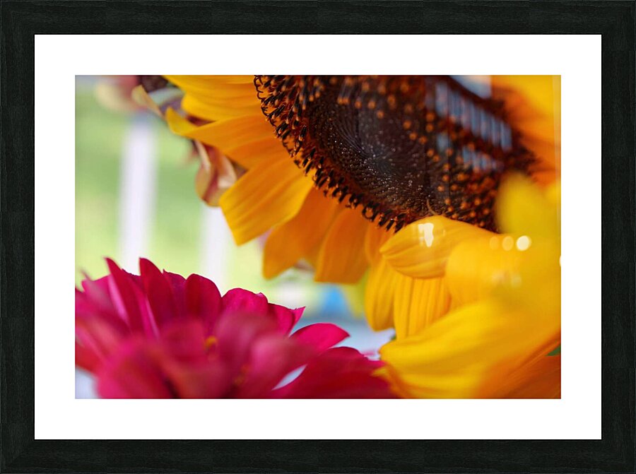 Gossiping Flowers Picture Frame print