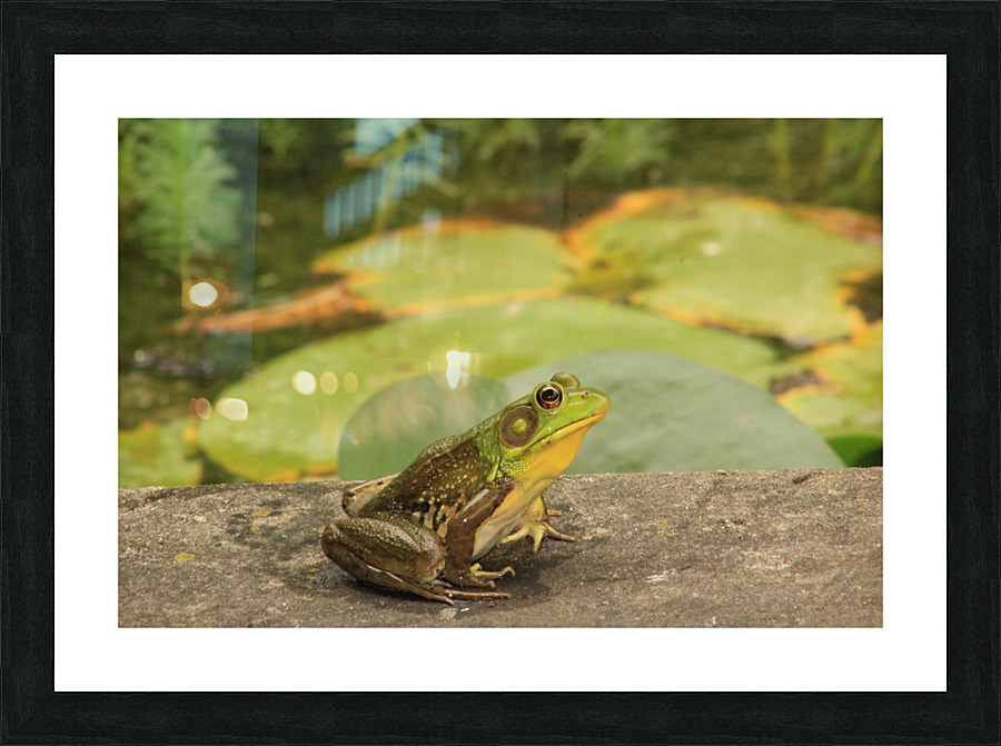 My Prince Picture Frame print