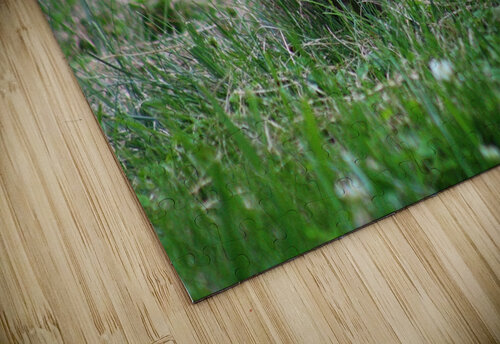 Bunny Bloom Nina Haman Art Photography puzzle