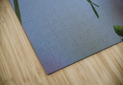 Lonesome Ladybug Nina Haman Art Photography puzzle