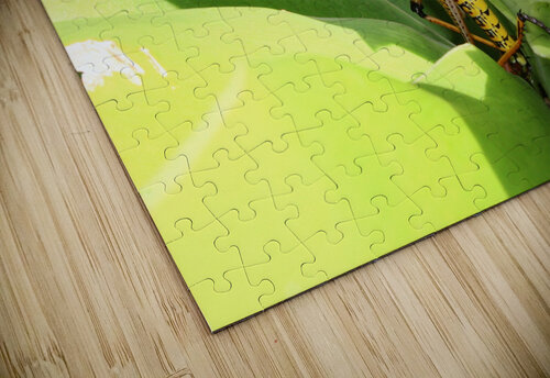 Hiding Grasshopper II Nina Haman Art Photography puzzle