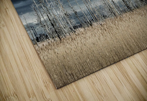 Carolina Storm Brewing Nina Haman Art Photography puzzle
