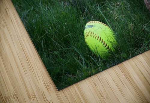 Softball Bunny Nina Haman Art Photography puzzle