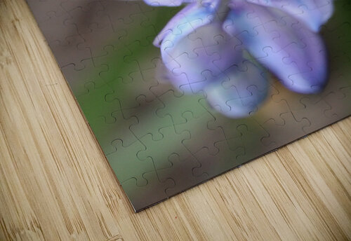 Periwinkle Pedals Nina Haman Art Photography puzzle