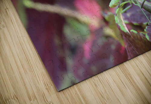 Posing Praying Mantis Nina Haman Art Photography puzzle