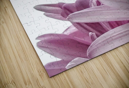 Passion For Pink Nina Haman Art Photography puzzle