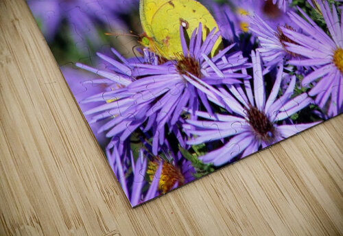 Lavender Lovelies  Nina Haman Art Photography puzzle