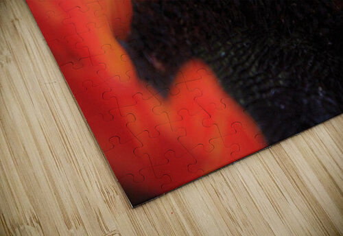 Silky Sunflower Nina Haman Art Photography puzzle