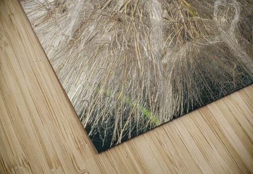 Wishful Thinking I Nina Haman Art Photography puzzle