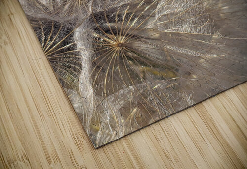 Wishful Thinking II Nina Haman Art Photography puzzle