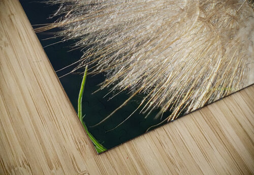 Wishful Thinking III Nina Haman Art Photography puzzle