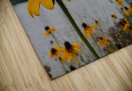 Susans By The Bridge Nina Haman Art Photography puzzle