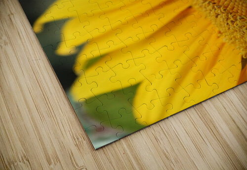 Hello Sunshine Nina Haman Art Photography puzzle