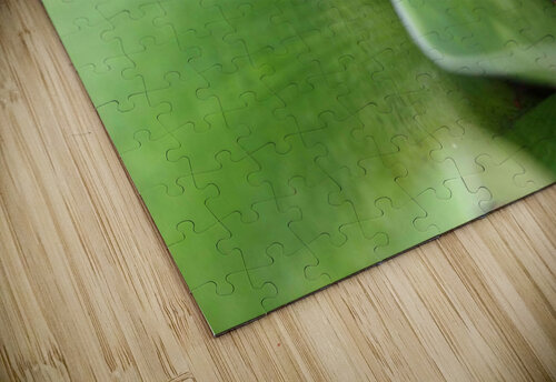 Hiding Grasshopper Nina Haman Art Photography puzzle