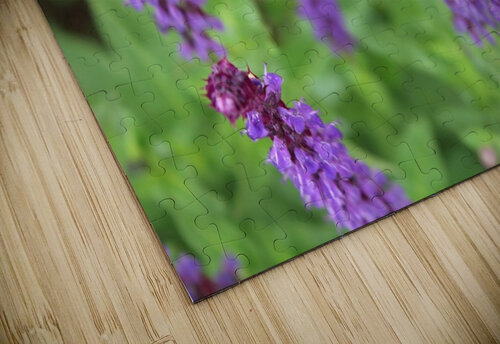 Hoverfly on Sage Nina Haman Art Photography puzzle