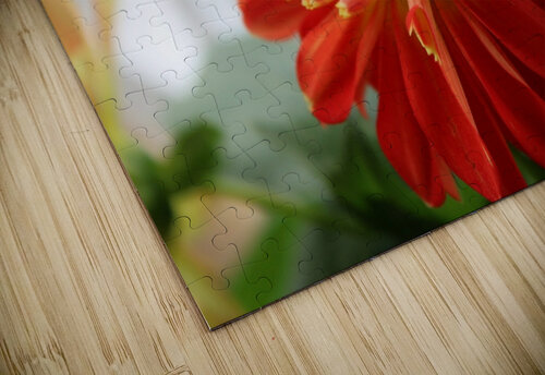 Fireball Flower II Nina Haman Art Photography puzzle