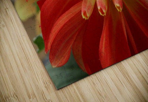 Fireball Flower Nina Haman Art Photography puzzle