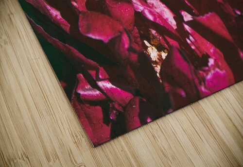 Pretty Pleasing Peonies II Nina Haman Art Photography puzzle