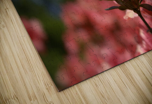 Azalea Above All Nina Haman Art Photography puzzle