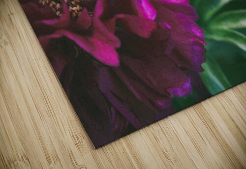 Pretty Pleasing Peonies III Nina Haman Art Photography puzzle