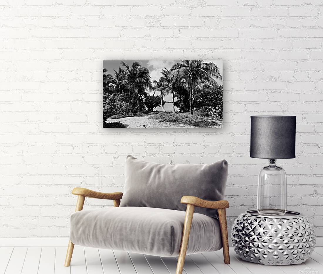 Paradise in B&W Reproduction