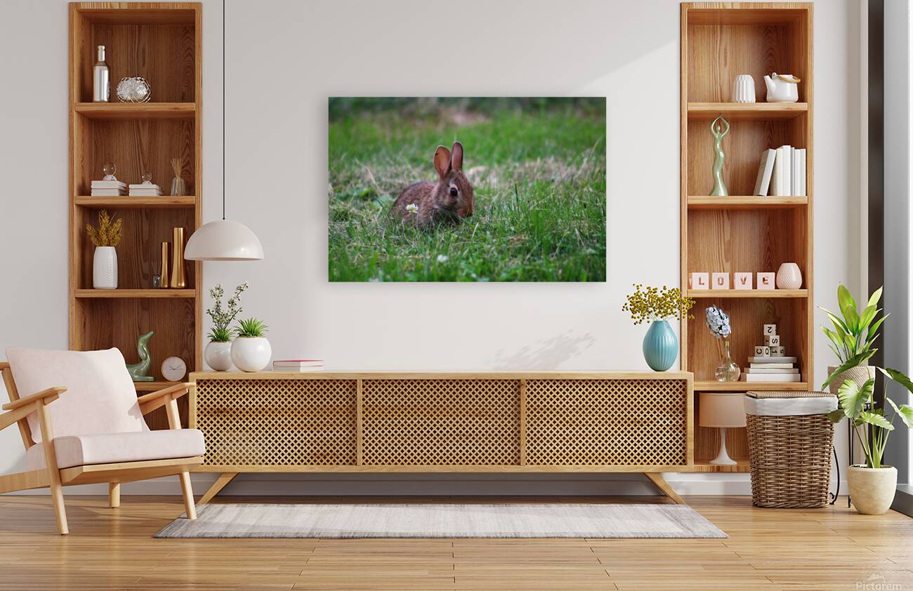 Bunny Bloom III Reproduction
