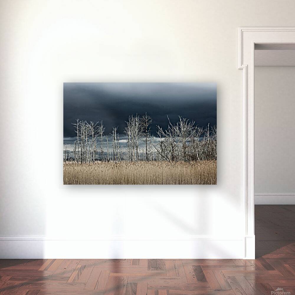 Carolina Storm Brewing Reproduction